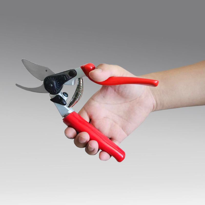 Manual Fruit Tree Pruning Scis - Gardening Tools Sharp review and price