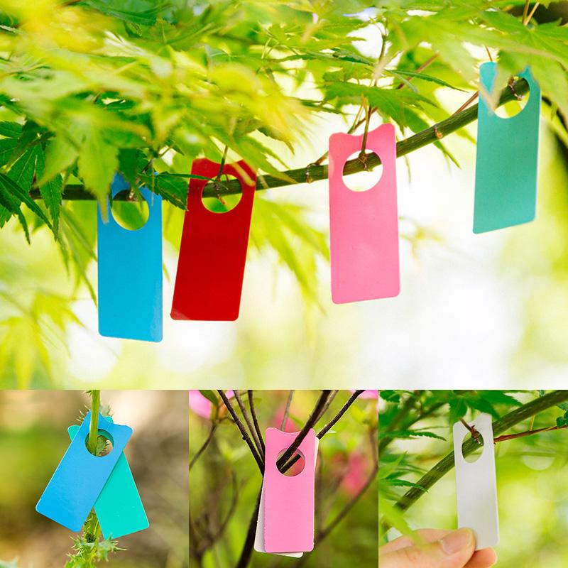 100Pcs Multifunction Plastic T - Plant Label Tags review and price