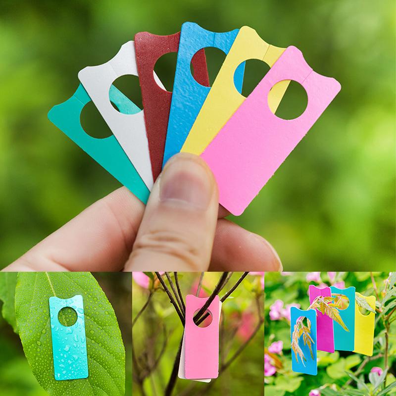100Pcs Multifunction Plastic T - Plant Label Tags review and price