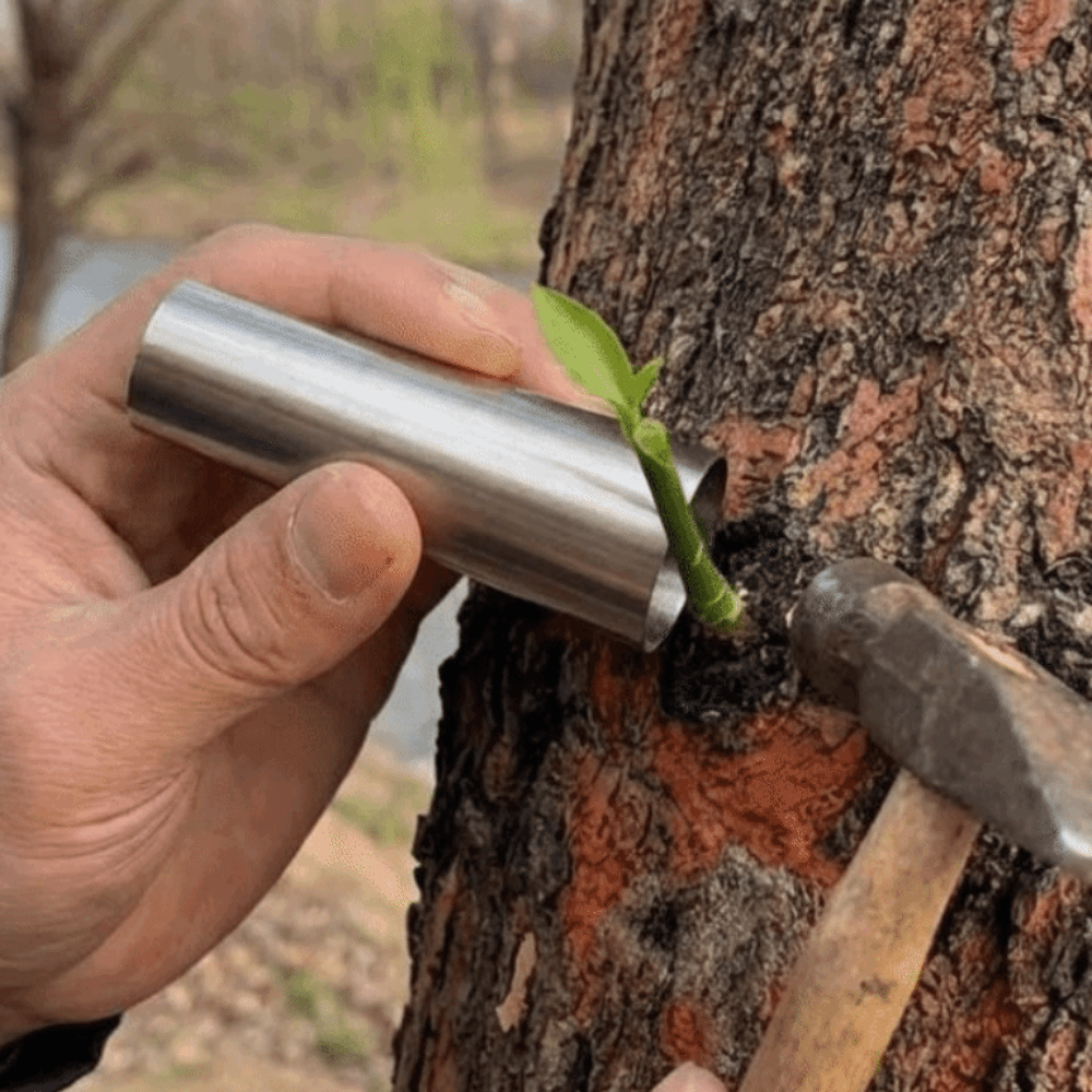5Pcs Stainless Steel Bud-Graft - Gardening Tools On Sale review and price