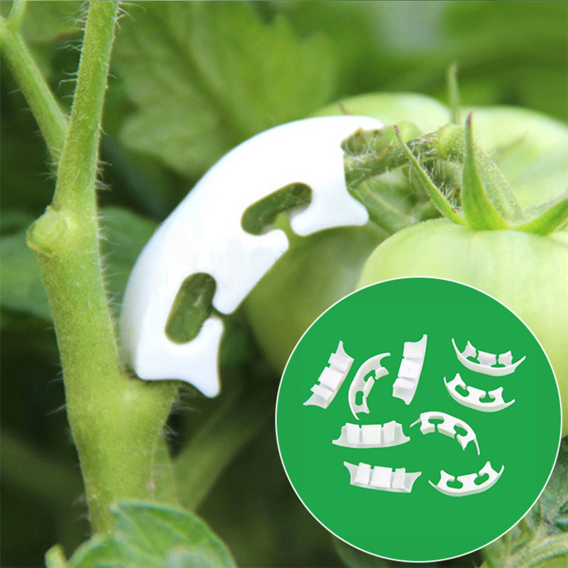 50/100pcs Botany-stem Vine Str - Gardening Tools Hoe review and price