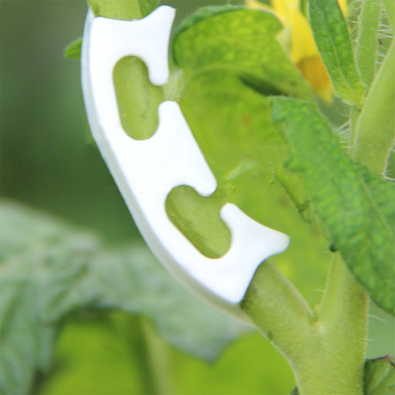 50/100pcs Botany-stem Vine Str - Gardening Tools Hoe review and price