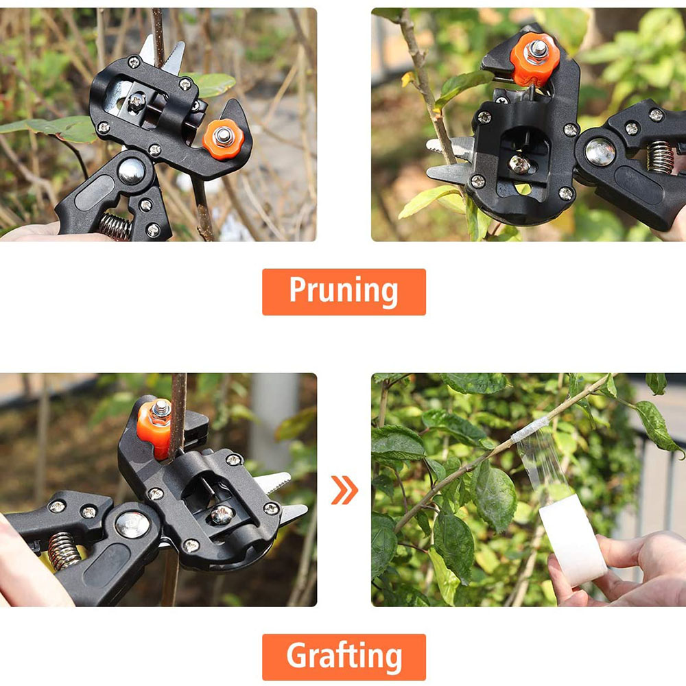 Grafting Pruner Scissor Garden - Gardening Tools On Sale review and price
