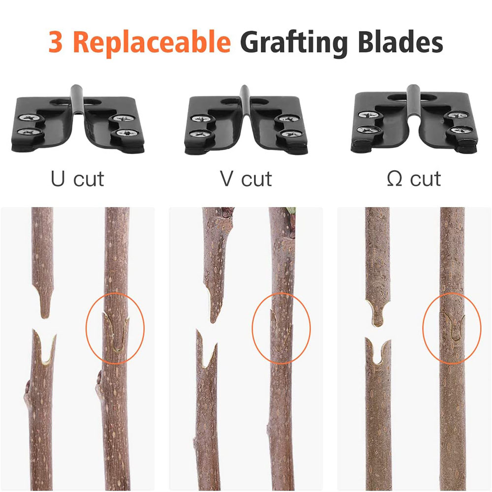 Grafting Pruner Scissor Garden - Gardening Tools On Sale review and price