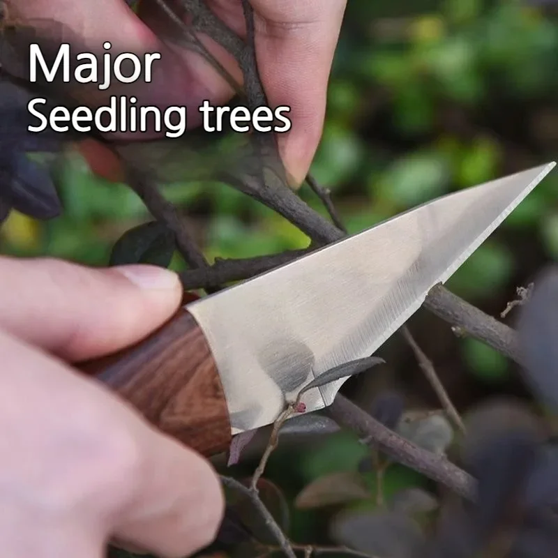 Wooden Handle Grafting Knife w - Gardening Tools On Sale review and price