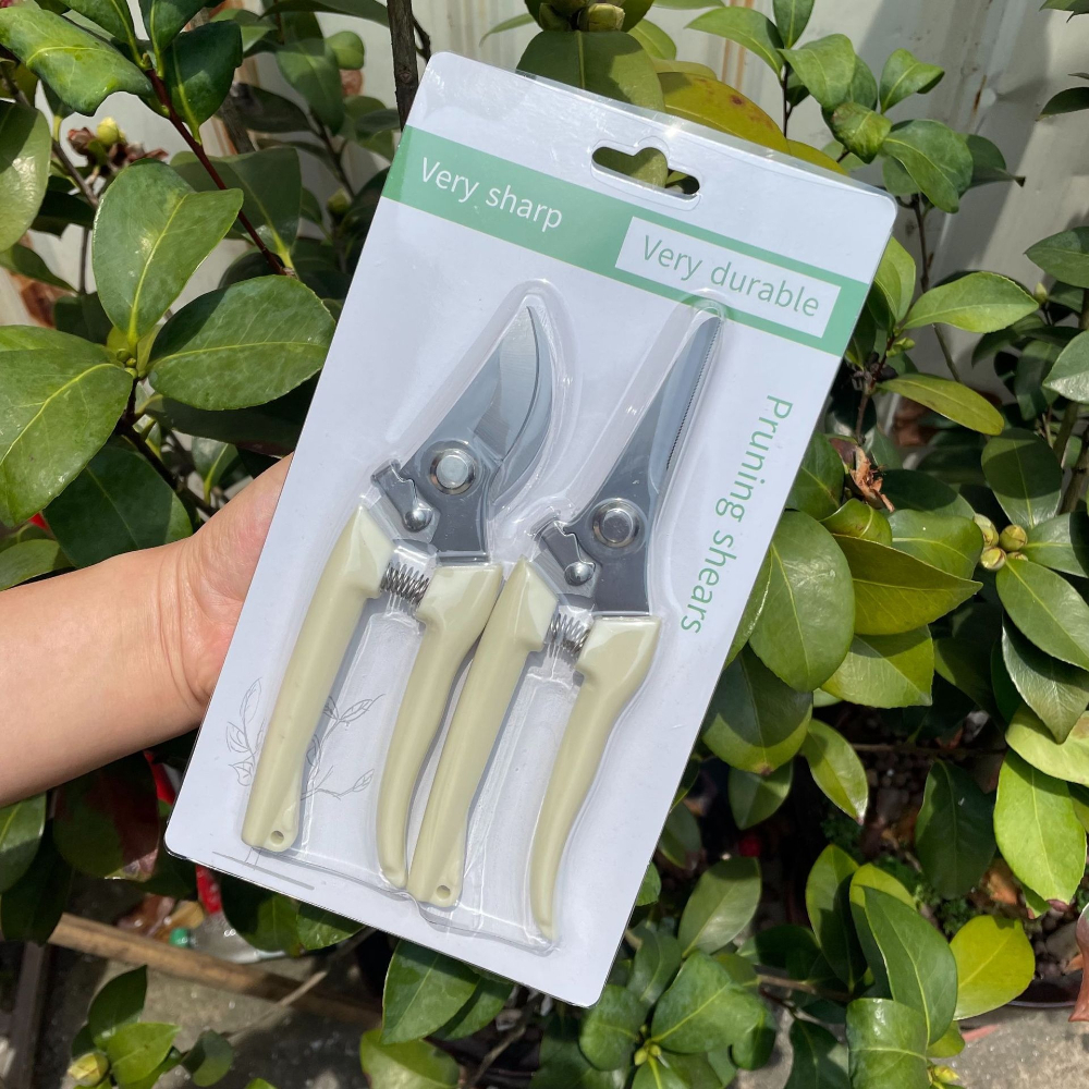 Garden Pruning Scissors Fruit  - Gardening Tools On Sale review and price