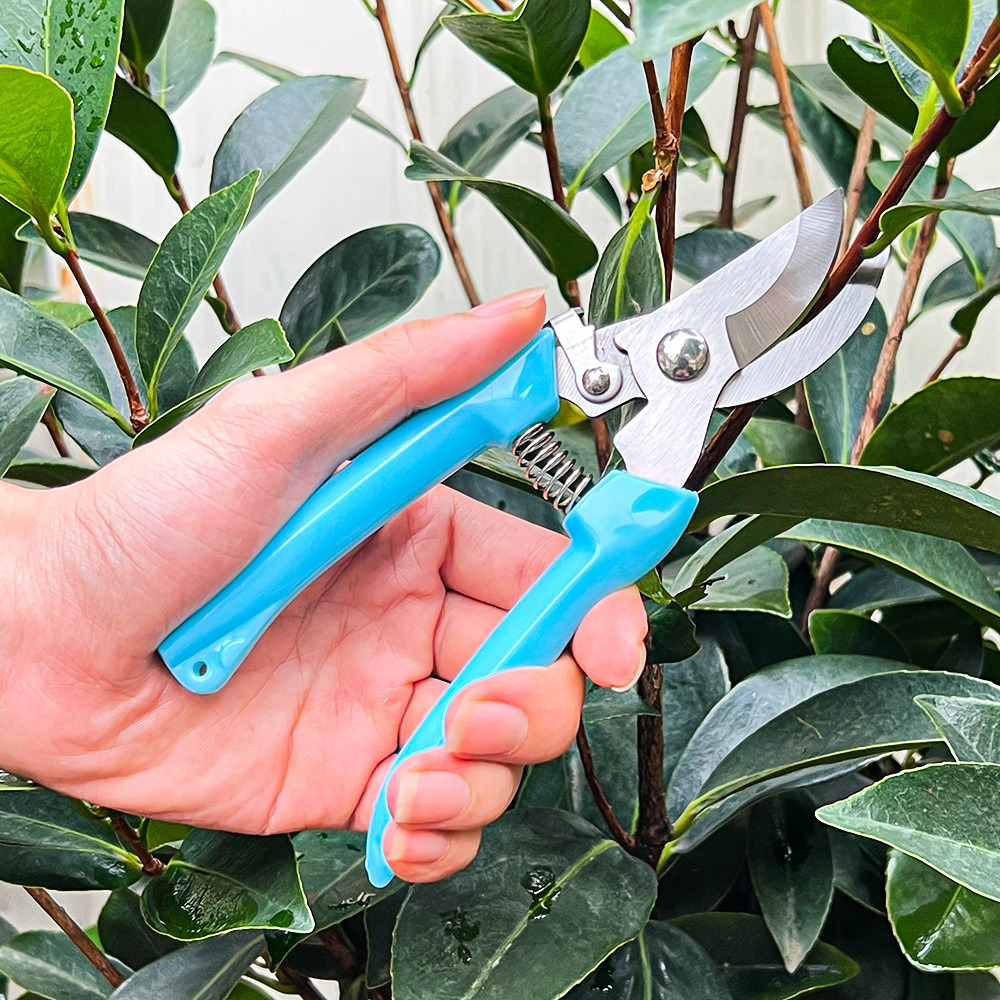 Garden Pruning Scissors Fruit  - Gardening Tools On Sale review and price