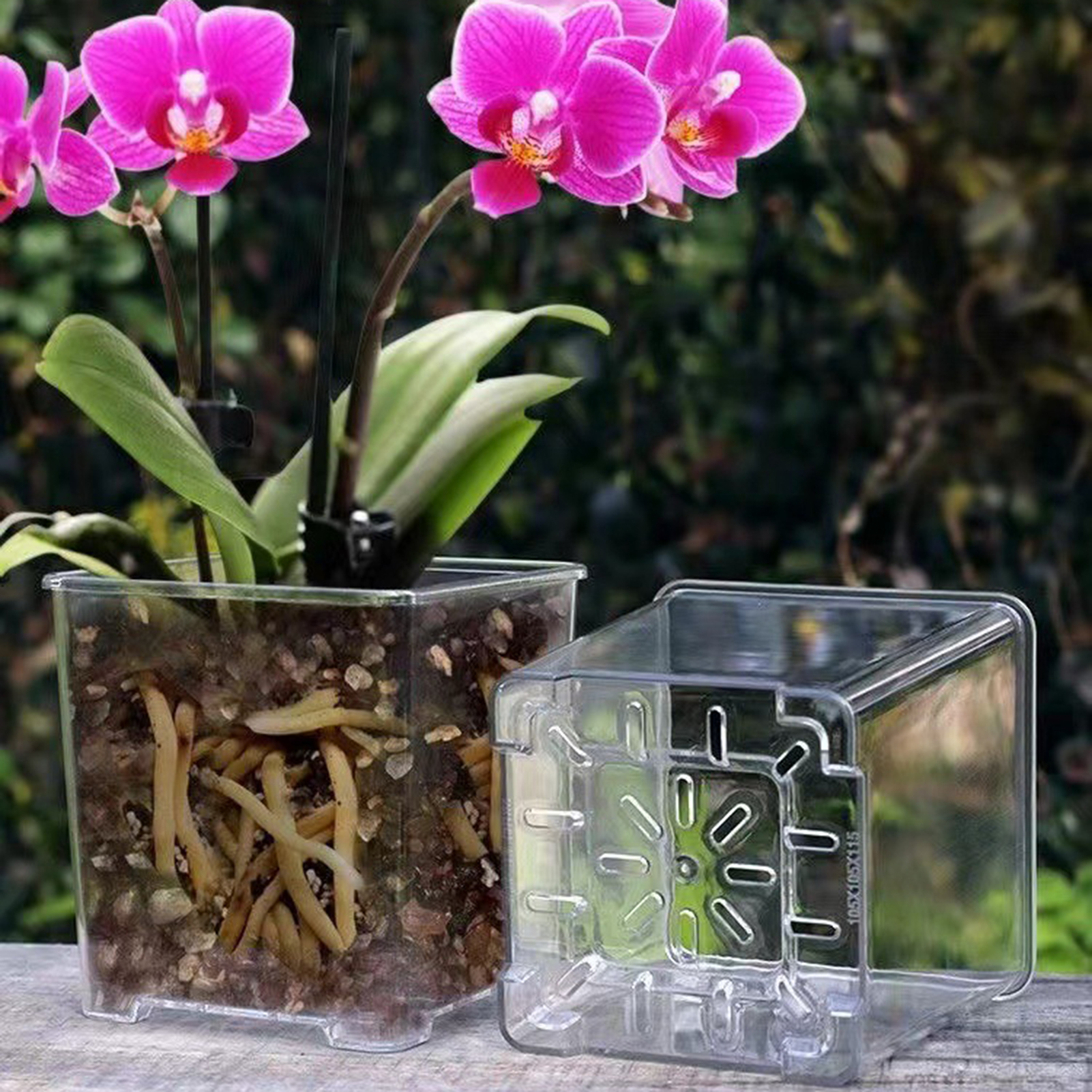Transparent Acrylic Square Orc - Orchid Potting Mix review and price