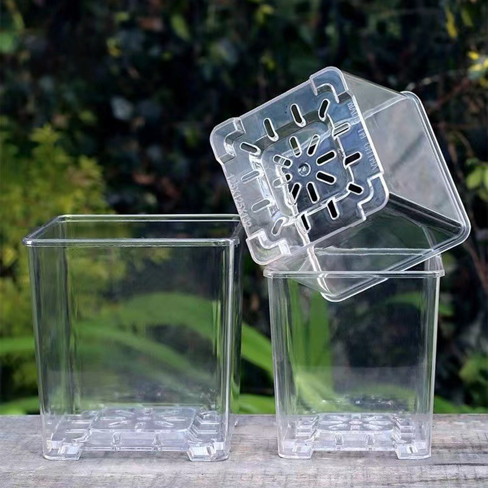 Transparent Acrylic Square Orc - Orchid Potting Mix review and price