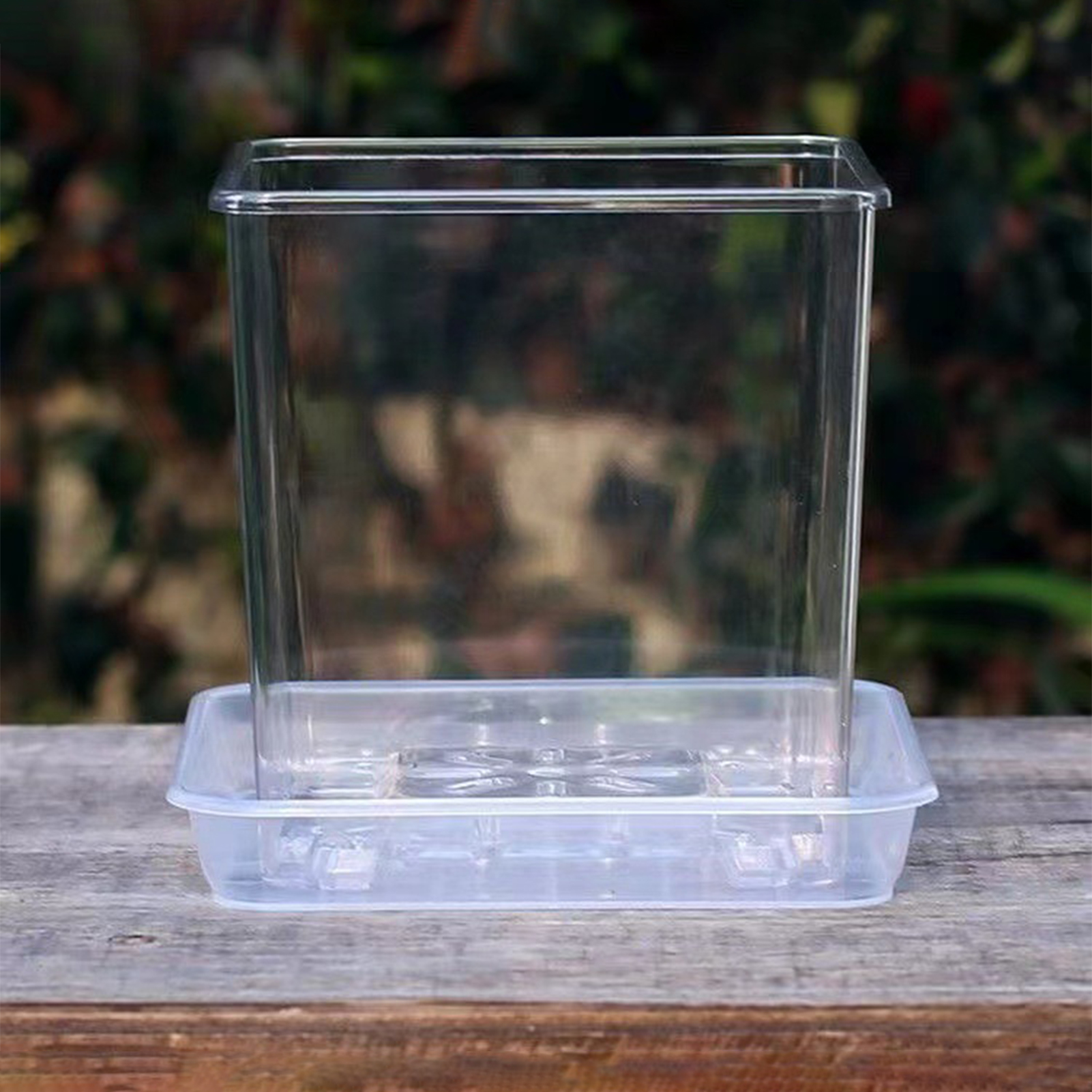 Transparent Acrylic Square Orc - Orchid Potting Mix review and price