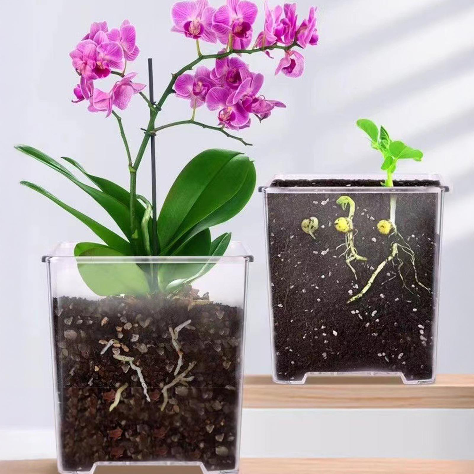Transparent Acrylic Square Orc - Orchid Potting Mix review and price