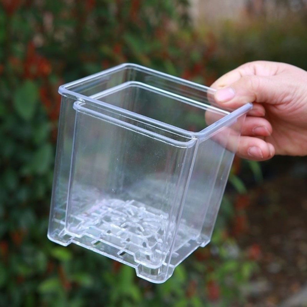 Transparent Material Acrylic P - Orchid Potting Mix review and price