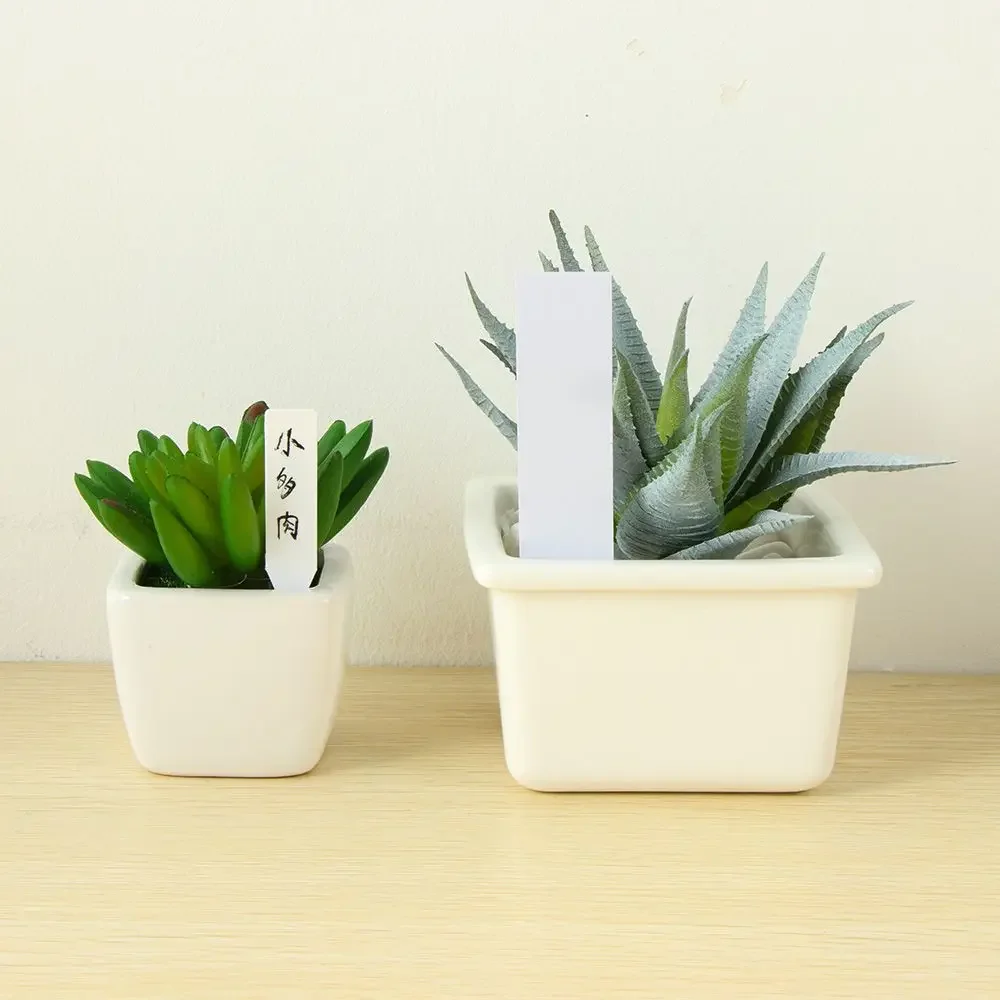 100Pcs Reusable Classification - Plant Label Tags review and price
