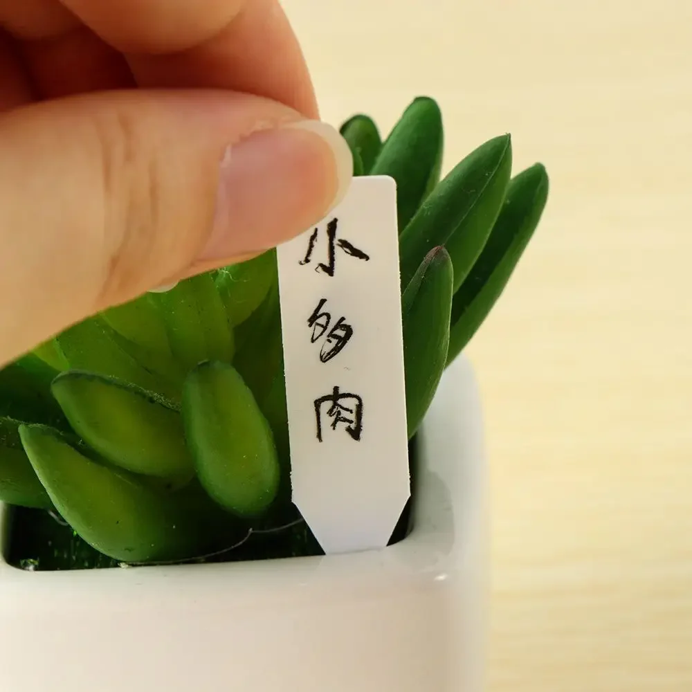100Pcs Reusable Classification - Plant Label Tags review and price