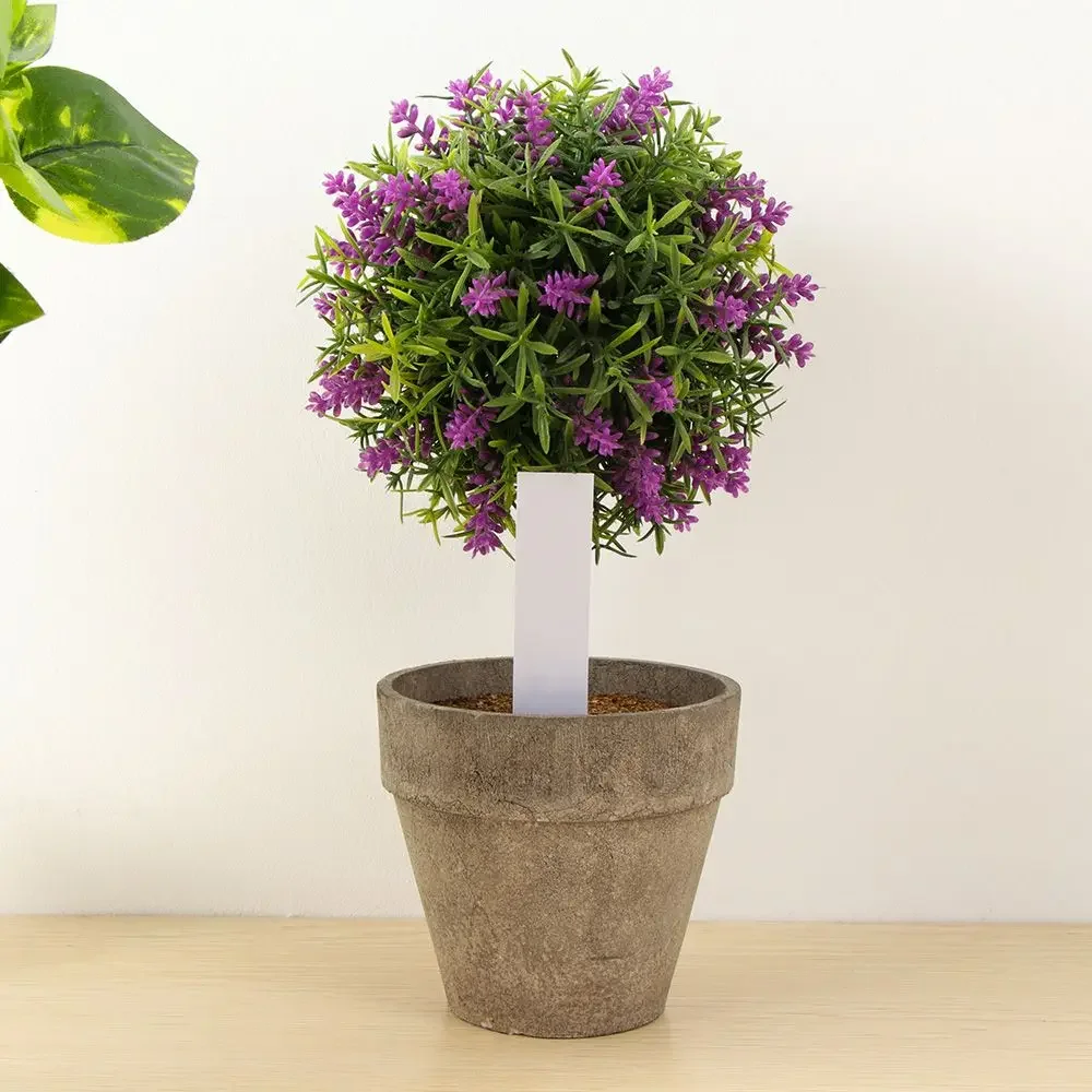 100Pcs Reusable Classification - Plant Label Tags review and price