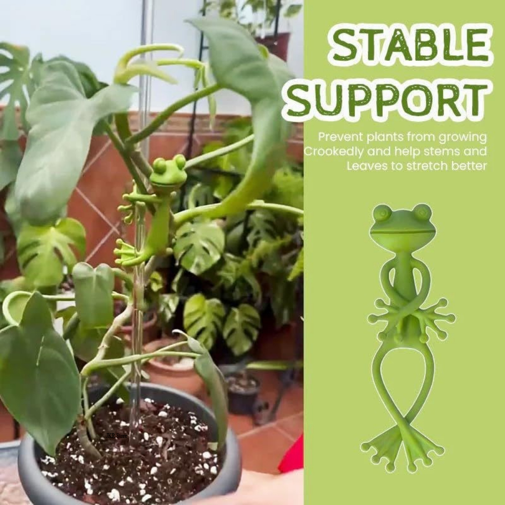 Tomato Plant Support Stake for - Gardening Tools Hoe review and price