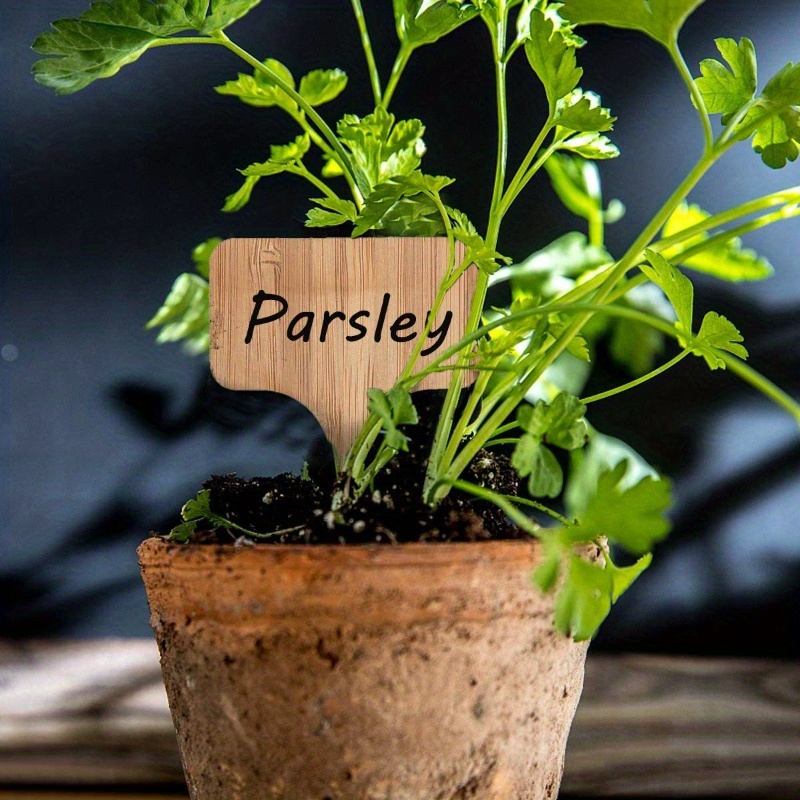 Bamboo Plant Labels, T-Type Wo - Plant Label Tags review and price