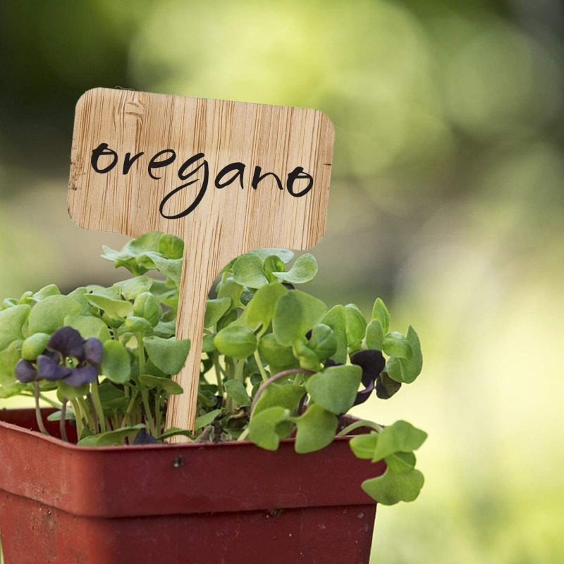 Bamboo Plant Labels, T-Type Wo - Plant Label Tags review and price