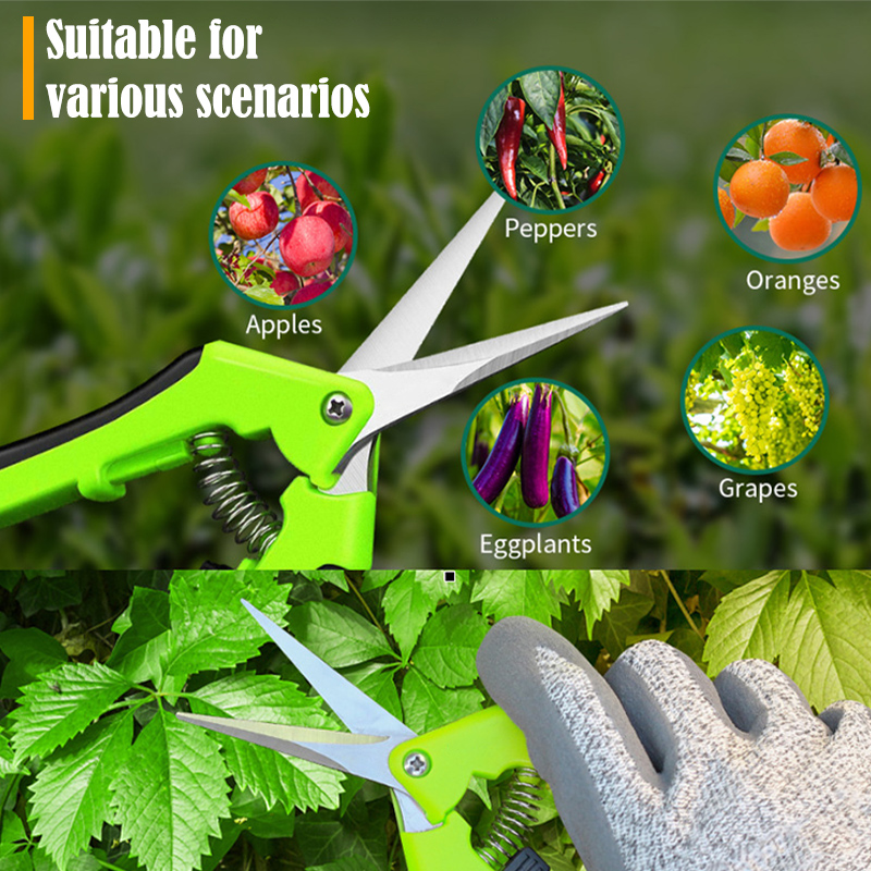 2PCS Gardening Scissors Set Er - Gardening Tools On Sale review and price