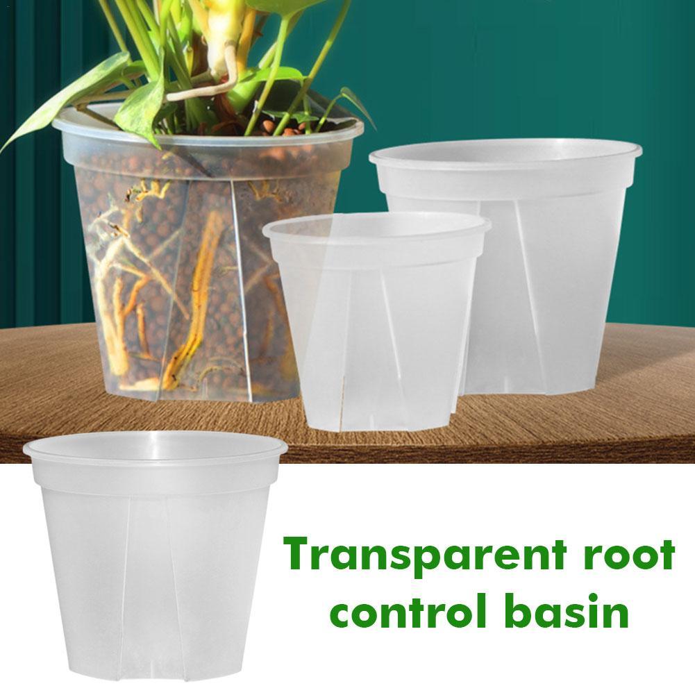 Transparent Plastic Pots Root  - Orchid Potting Mix review and price