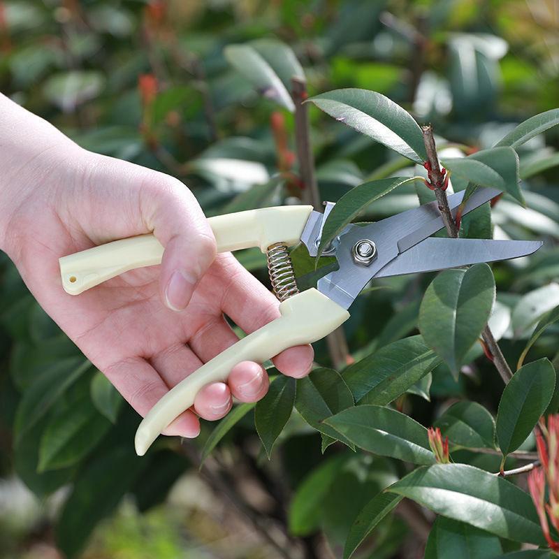 Stainless Steel Pruning Scisso - Gardening Tools On Sale review and price