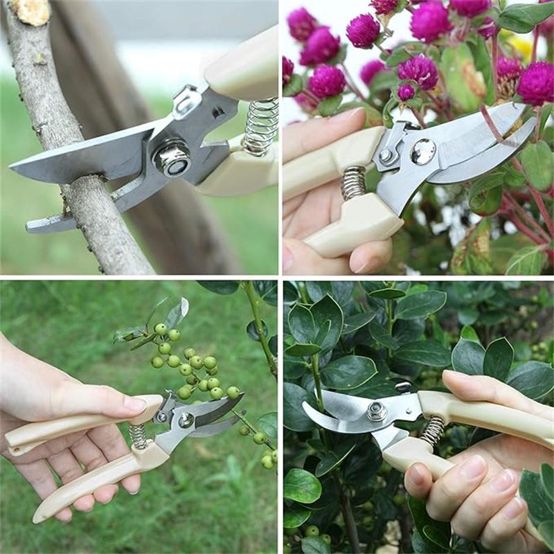 Stainless Steel Pruning Scisso - Gardening Tools On Sale review and price