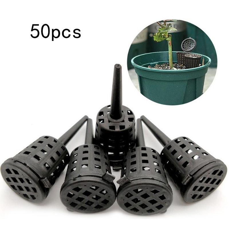50 Pcs/pack Plants Fertilizer  - Orchid Potting Mix review and price