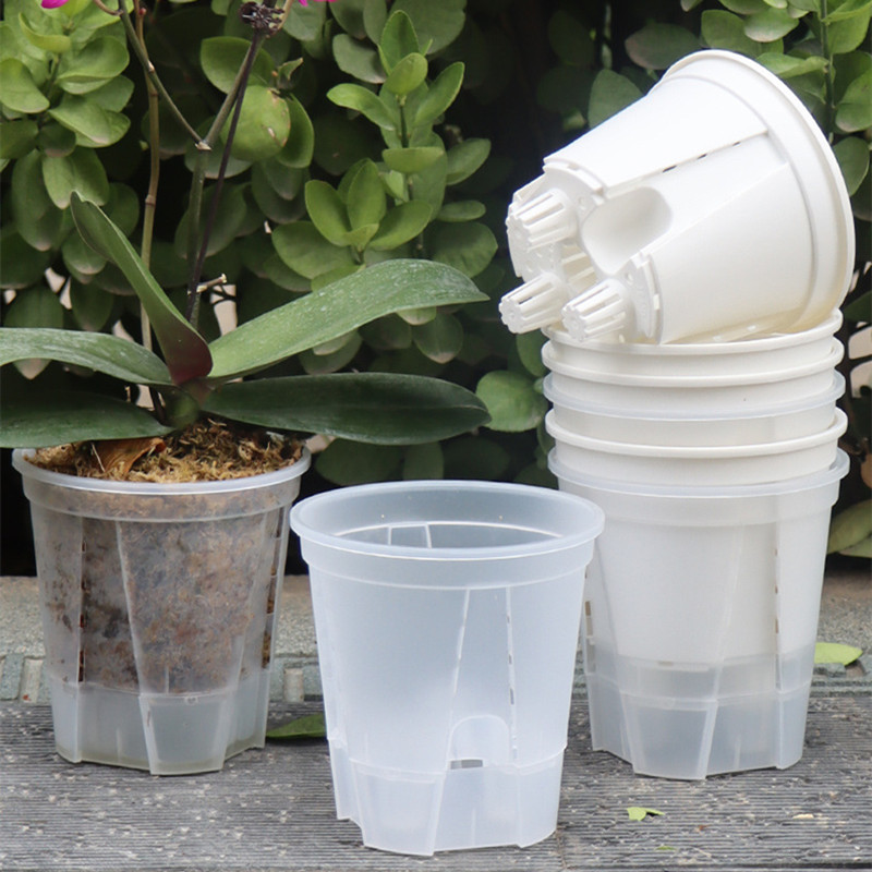 5pcs Transparent Orchid Pot wi - Orchid Potting Mix review and price