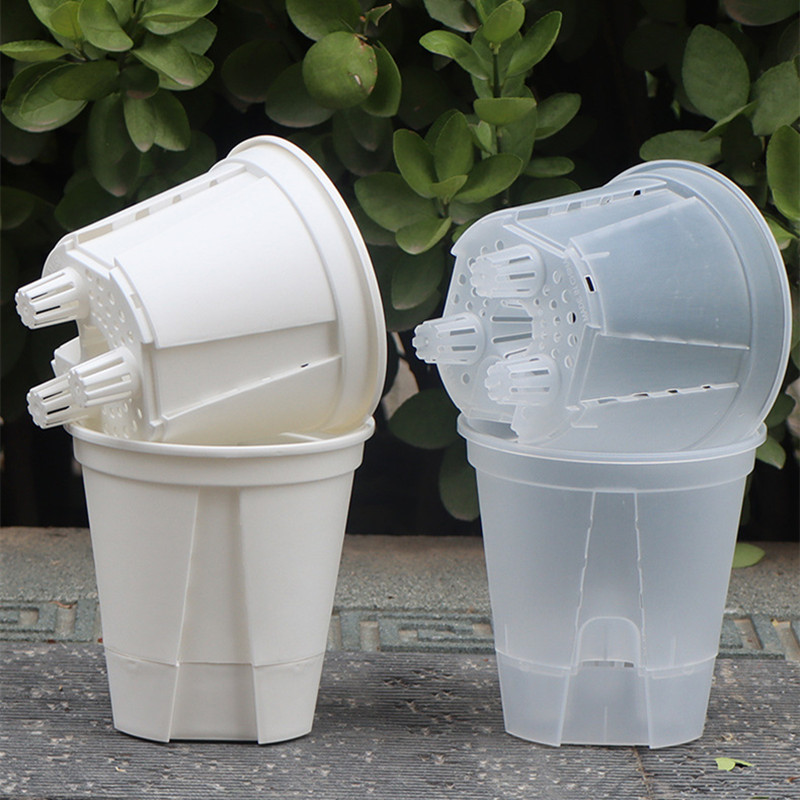 5pcs Transparent Orchid Pot wi - Orchid Potting Mix review and price